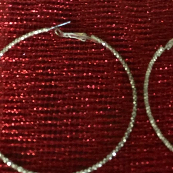 Elegant Silver Hoop Earrings - Picture 7 of 7